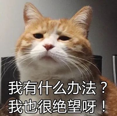 僵尸大战植物僵尸大战_植物大战僵尸2010度版_僵尸大战植物β版下载