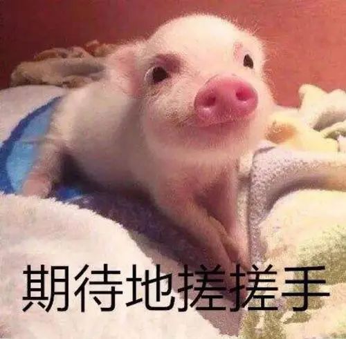 僵尸大战植物僵尸大战_僵尸大战植物β版下载_植物大战僵尸2010度版