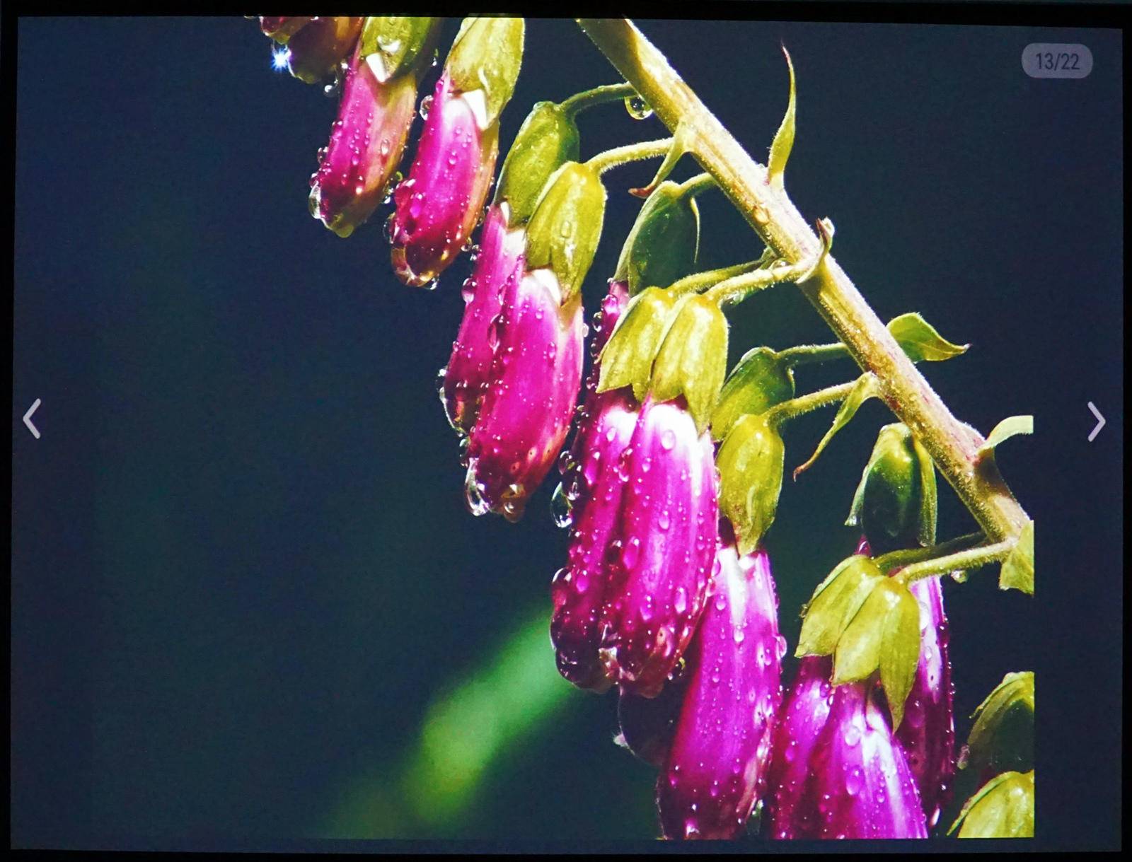 投影宝如何使用_wps投影宝_投影宝WPS