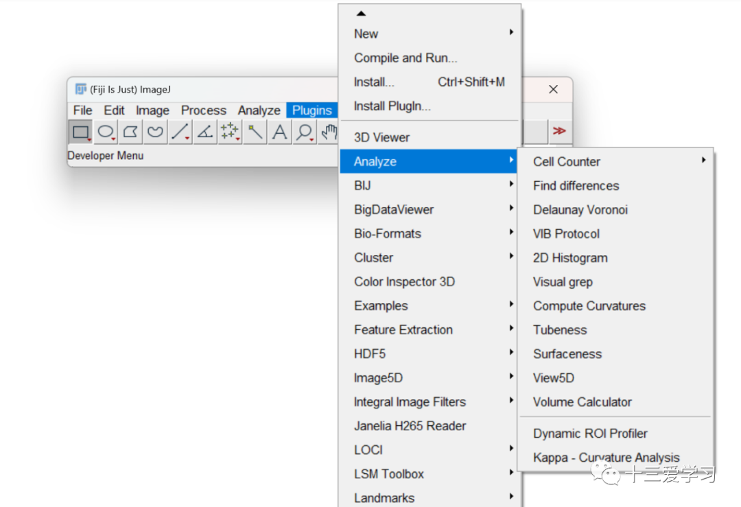 imagej软件下载_imagej中文版下载_imagej下载安装