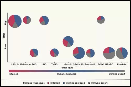 细胞奇点到人类怎么升级_细胞奇点要点奇点吗_细胞到奇点