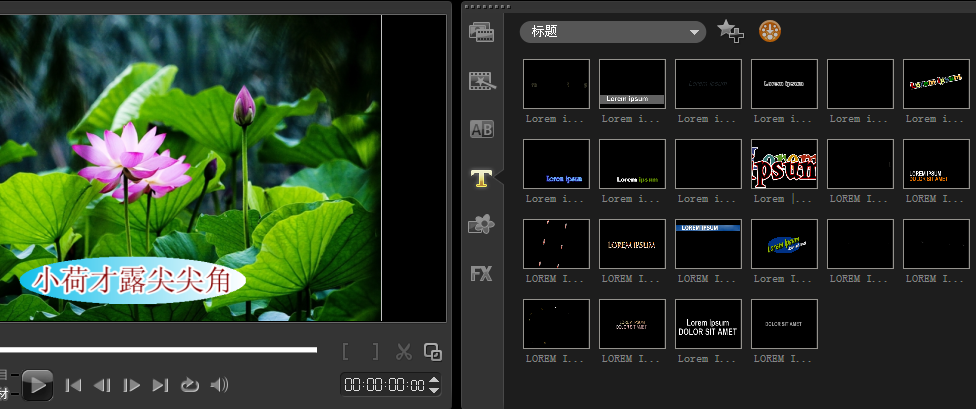 破解版的影视应用_2021年破解版影视软件下载_会声会影x5简体中文破解版
