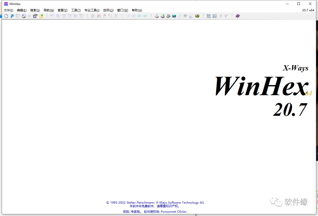 winhex破解版-WinHex中文破解版 v20.7 SR-0 绿色版单文件
