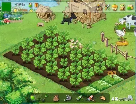 死神火影包电脑下载安装版教程_死神ⅴs火影pc版_死神vs火影电脑版安装包下载